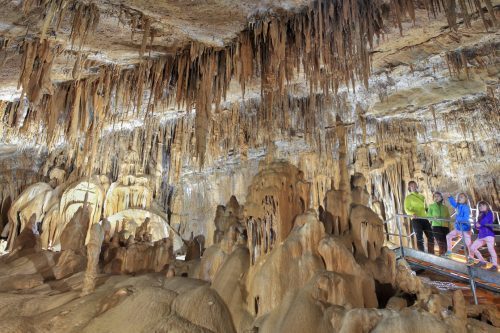 La Cueva de Mendukilo celebra 20 años con visitas gratuitas y descuentos este 22 de julio