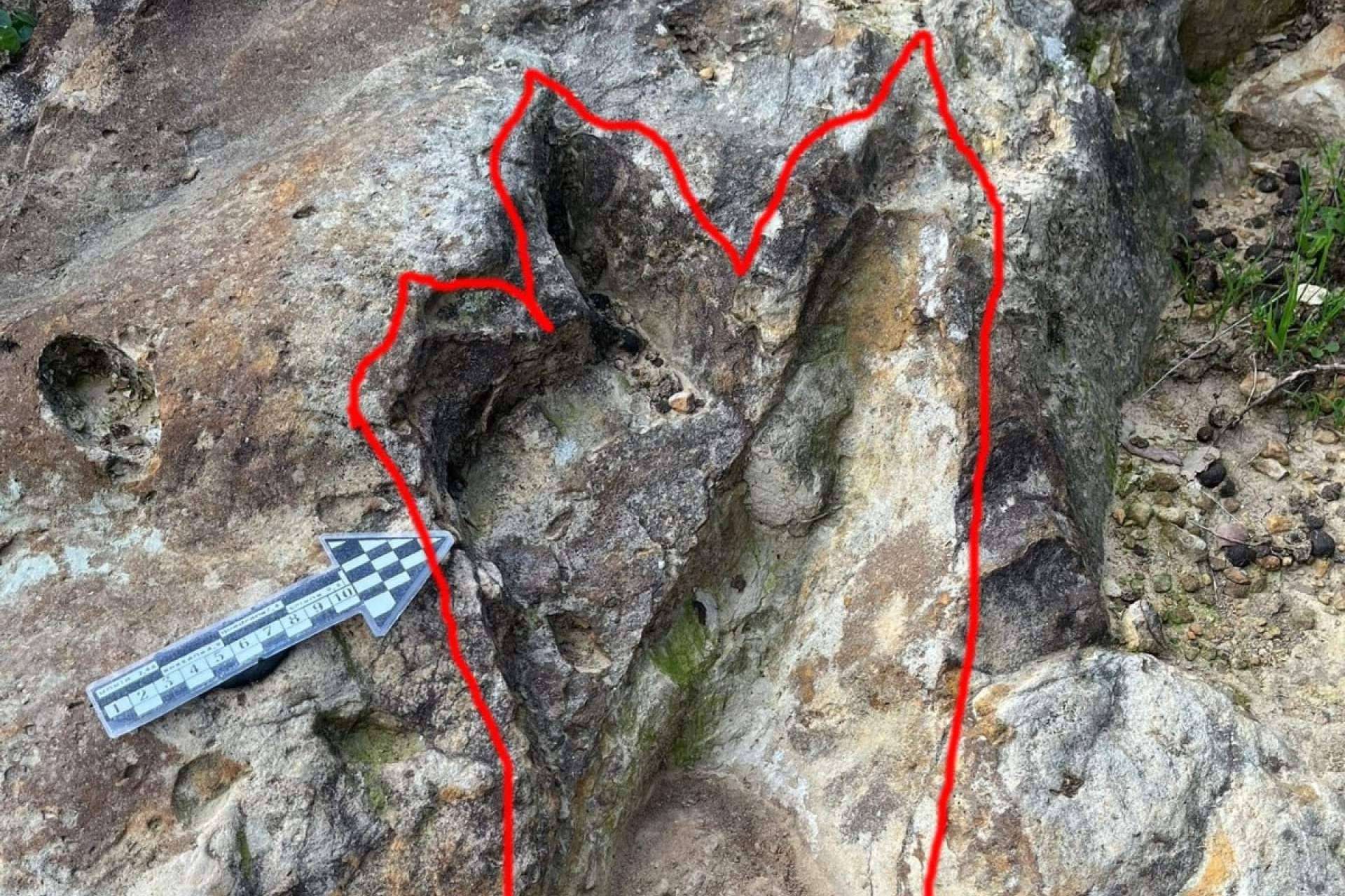 Sorprendente Hallazgo Arqueológico en Jimena de la Frontera Revela Huellas de Dinosaurios y Asentamientos Humanos Milenarios