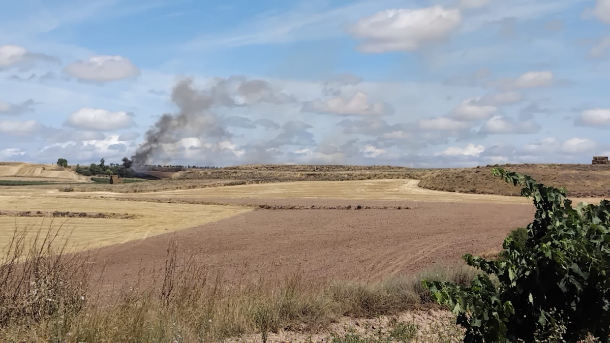 Un incendio quema 2 hectáreas de cereal en Ribafrecha y afecta a una almendrera sin causar daños personales  