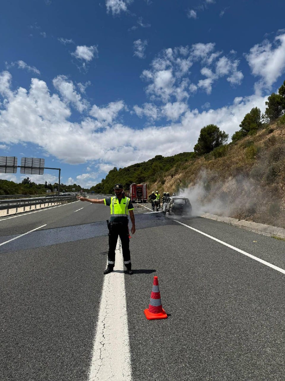 Intervienen en un incendio de un turismo en la A-12 en Puente la Reina  