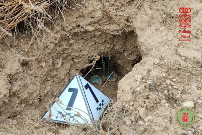 Investigan a un hombre en Tierra Estella por envenenar fauna y poseer aves silvestres  