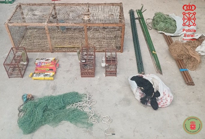 Denunciado en Tierra Estella por caza ilegal y enjaular 7 pájaros