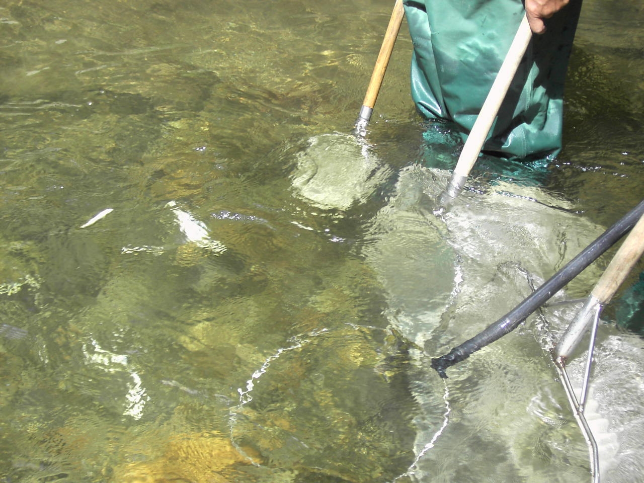  Navarra destina 20.000 € para contratar guardas de pesca