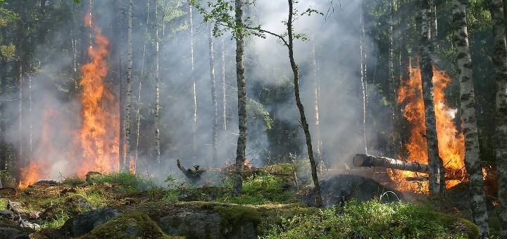 Berriozar forma grupo de auxilio para prevenir incendios forestales